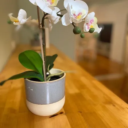 Апартаменты Bairro Alto 1